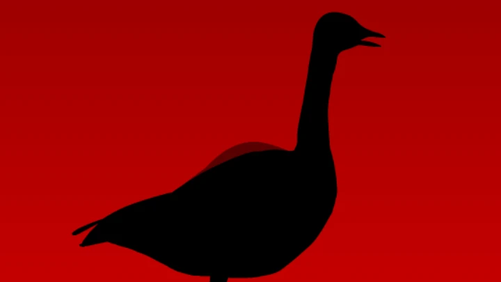 Wild Goose Chase
