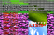 FFFFFF:ULTIMATE-F