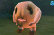 Kirby Isn't Hungry