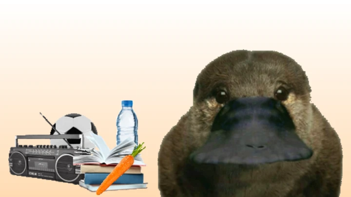 My Platypus