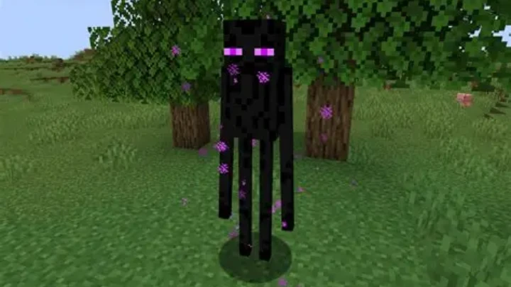 Jenny & Enderman
