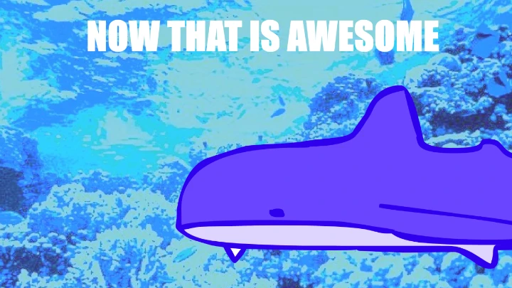 shark