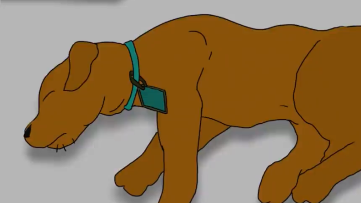 Get up Scoob!