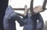 (2003)Bar Fight!