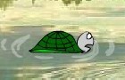 "The Lonely Turtle"
