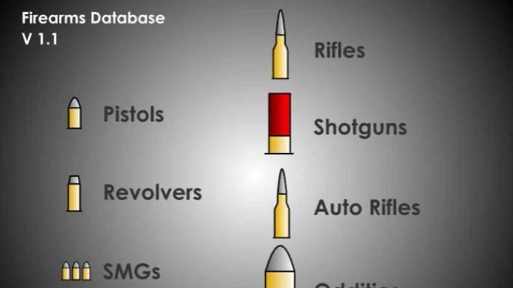 Firearms for Dummies