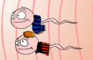 SportZoa