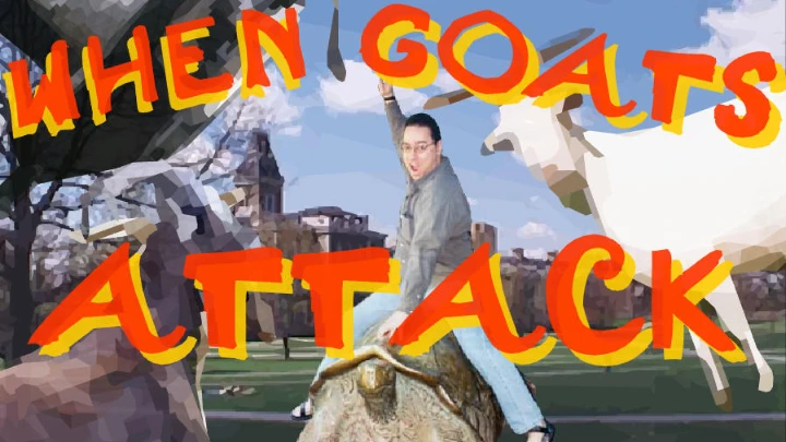 when goats attack