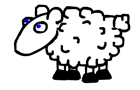 Sheep Fun