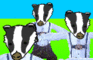 Badger Badger Polka
