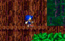 Sonic & Knuckles!!!!!!!!!
