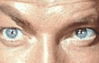 Roger Moore's Eyebrows