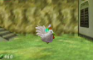 Kill Chicken From Zelda