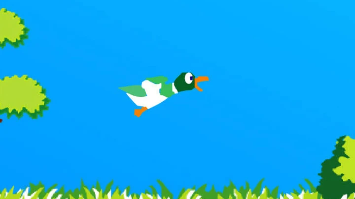 Duck Hunt