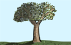 Tree Tutorial