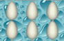 Memory Eggs