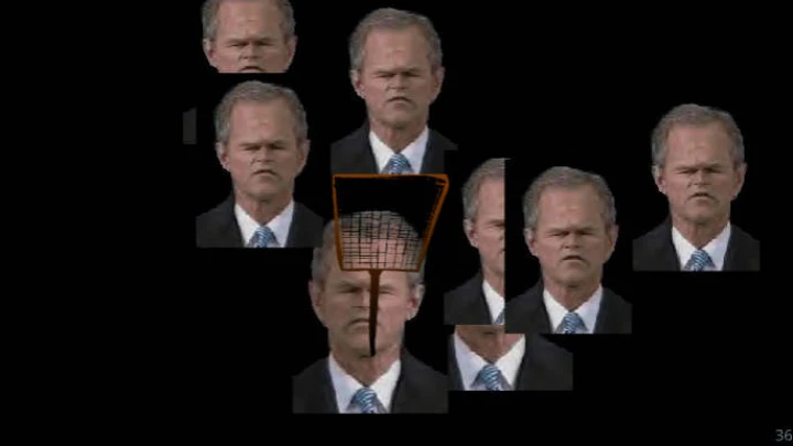Smack Bush