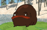 Black Frog