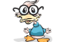 funny duck