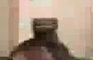 SW7 (preview)