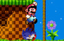 Mario VS. Sonic  (VGDC)