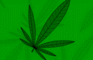 Marijuana Stand