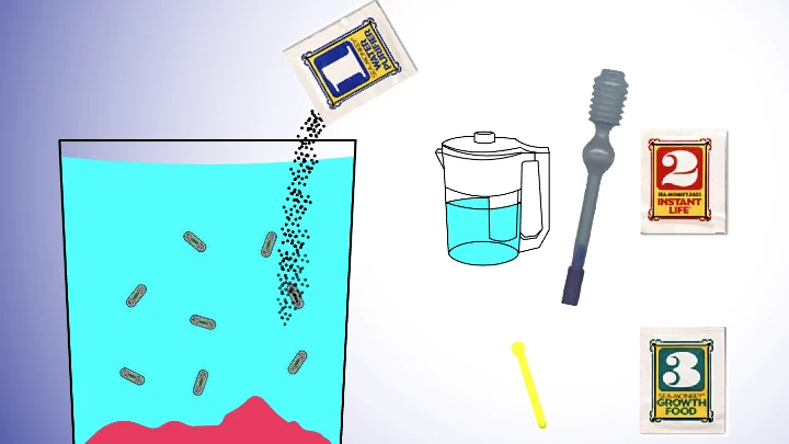 Virtual Sea Monkeys