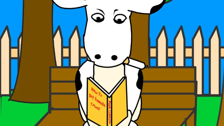 Cow attracter