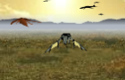 Nimian Flyer 2