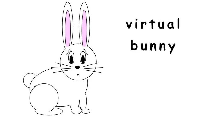 The Virtual Bunny