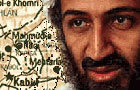 Whack bin Laden