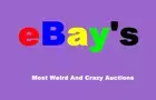 Ebays Funnyest Auctions