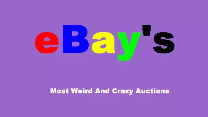 Ebays Funnyest Auctions
