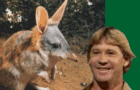 Steve Irwin: A Legend