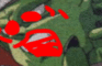 Dragonball C