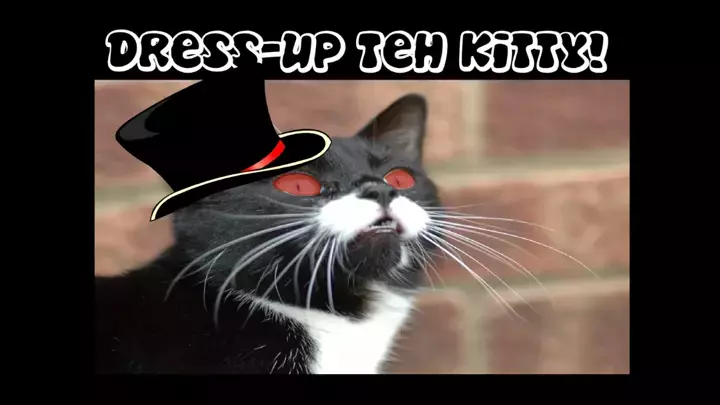 Dress-Up teh Kitty!!!!11!