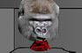 The Ape Collab 6