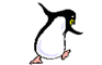 a dancin penguin