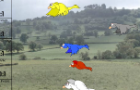 Birds v1.0