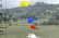 Birds v1.0