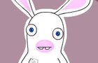 Bunny Fact #1
