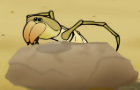 The Camel Spider