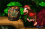 Donkey Kong Country?