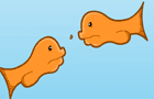 Goldfish #4