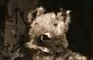 Squirrel, a Symphony