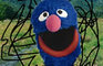 Pube Grover Chronicles
