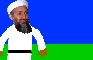 How binladen Masterbates