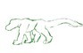 Walking Lizard 1