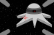 Space World 1.0
