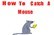 How To Catch A Mouse